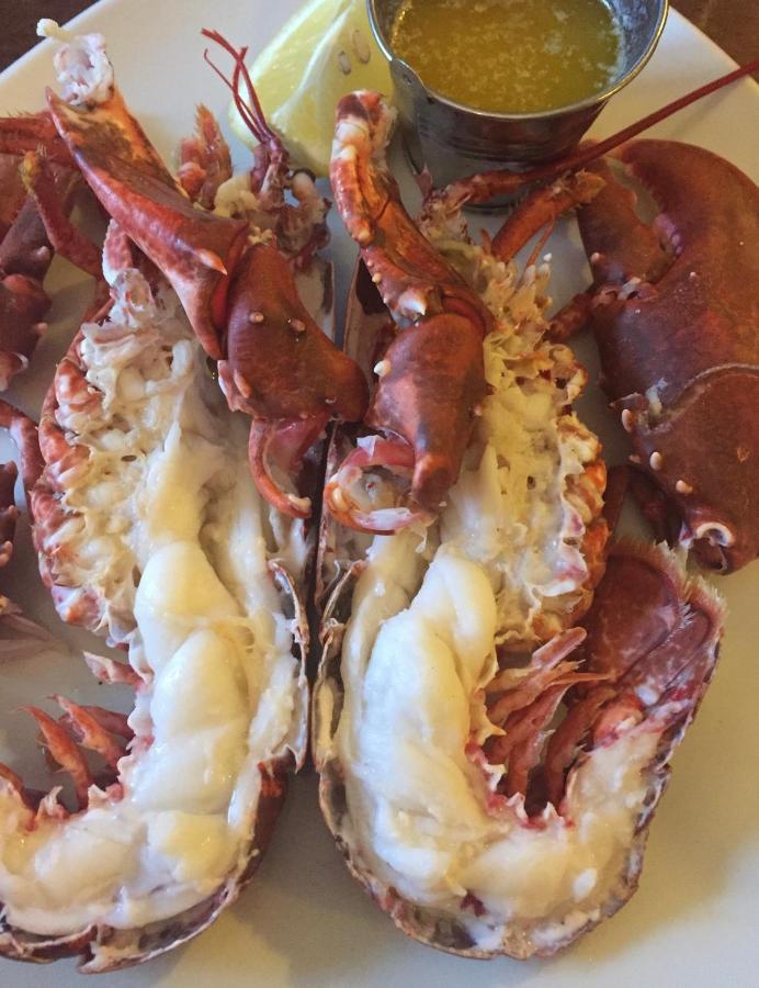 Guest house Ashes Seafood Restaurant Dingle